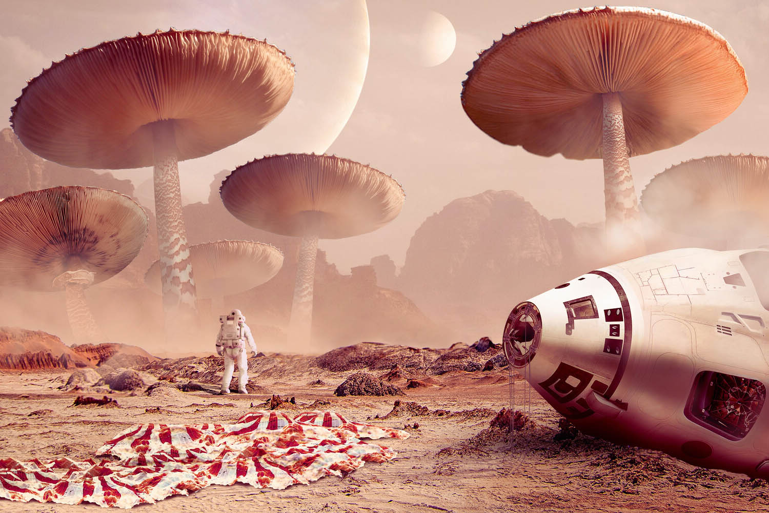 <span>Concept</span>Arrival